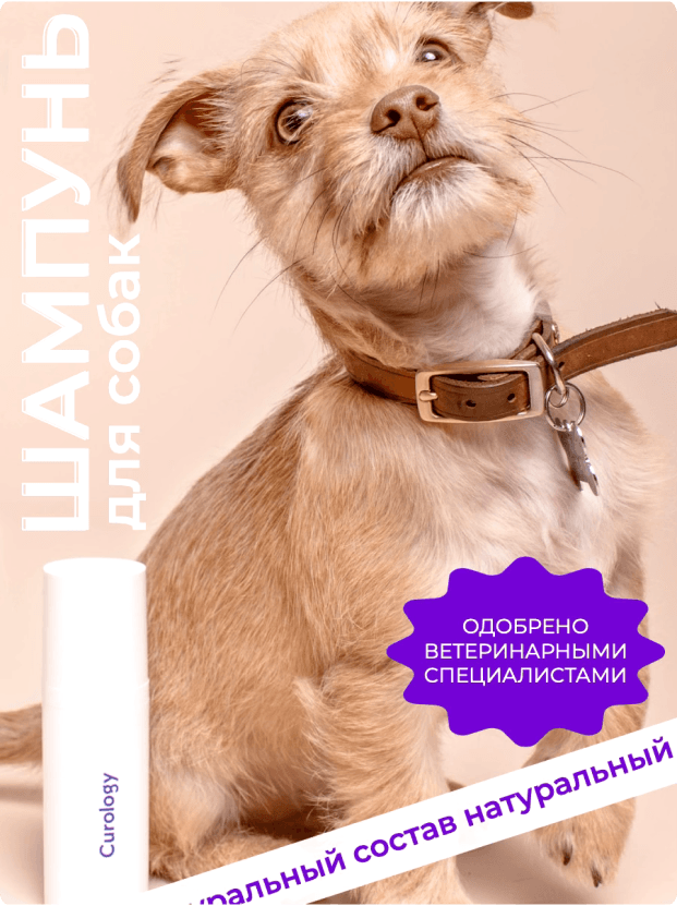 TextAssist сервис