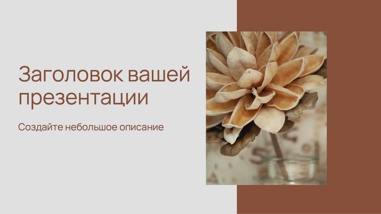 Терракотовая Презентация: Коммерческое Предложение с Фото