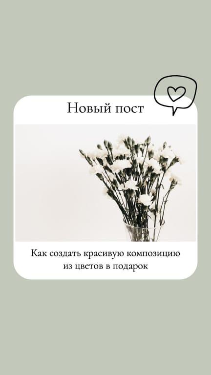 Объявление О Новом Посте: История в Instagram. Цветовая Палитра Шаблона.