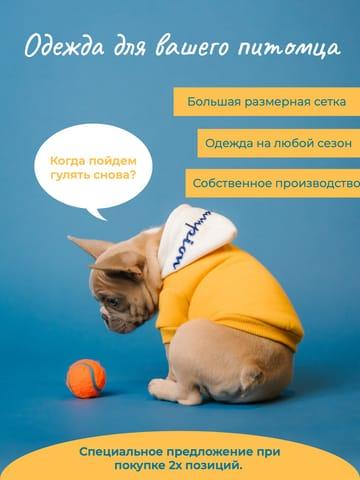 Минималистичная Стильная Инфографика в Синем и Желтом для Маркетплейса